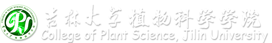 威廉希尔体育官网（en）